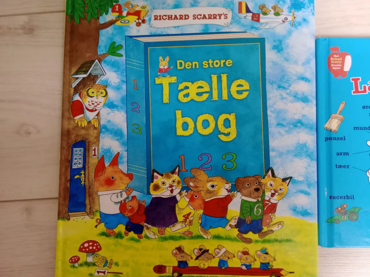 Billede 2 - Tælle bog & Lær nye ord bog 