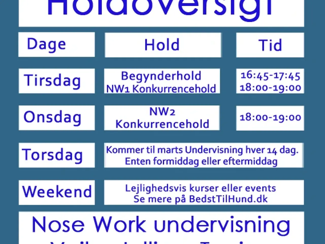 Billede 2 - Nose Work undervisning, Vejle