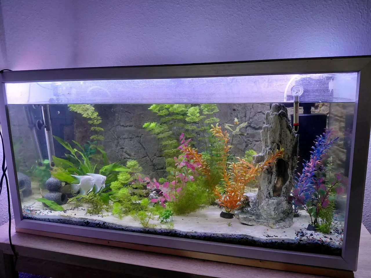 Billede 2 - Akvarie med det hele