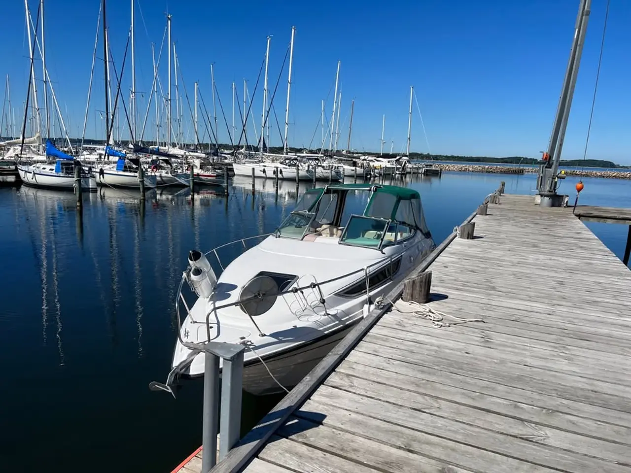 Billede 2 - 🚤 Chaparral 26 fod Daycruiser med trailer 
