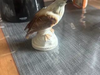 Ørn