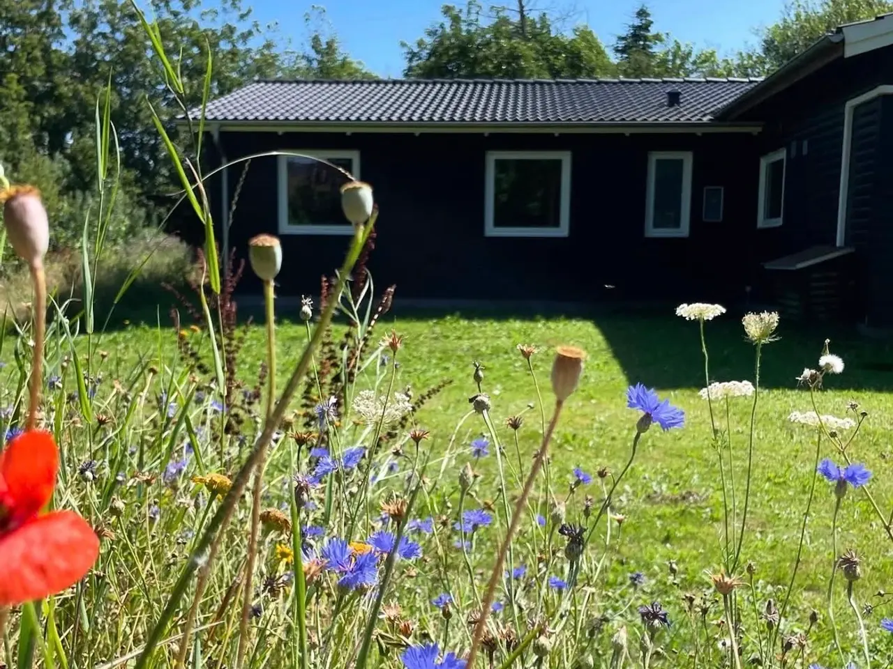 Billede 1 - Sommerhus med plads til op 8-10 personer 