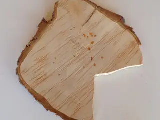 NY Thuja Træskive 29,5 cm