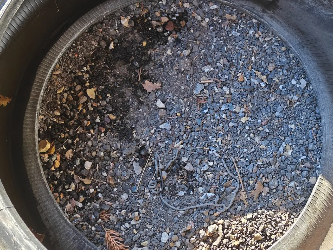 Billede 12 - Goodyear 320/70R24 XXX