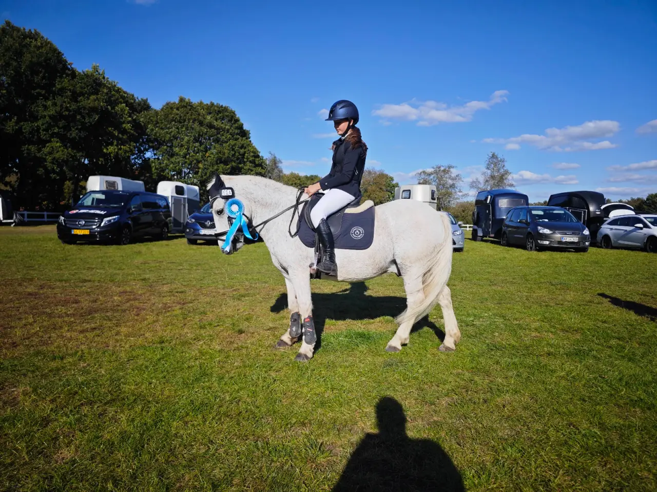 Billede 12 - Allround pony, en ny bedste ven