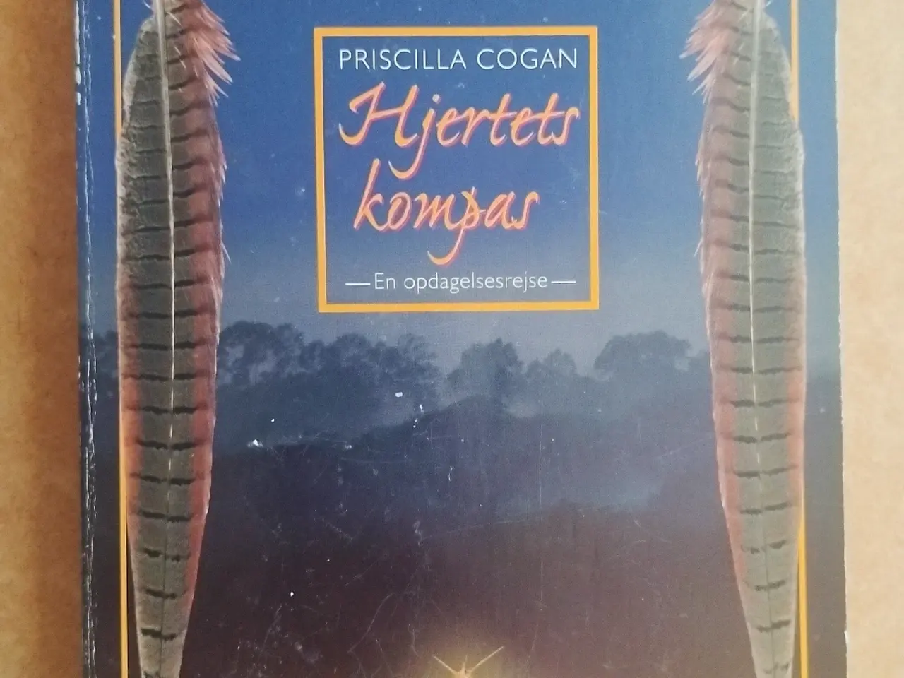 Billede 3 - Bøger - manga, healing, spiritualitet, hekse, 