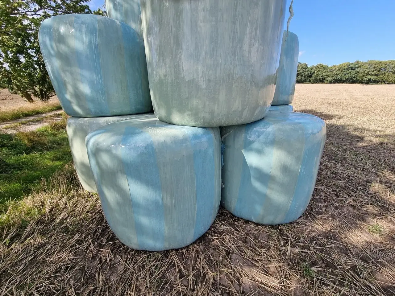 Billede 3 - Hvede wrap