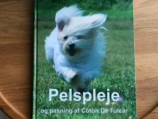 Pelspleje og pasningaf Coton De Tulear