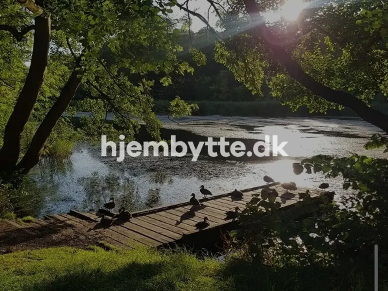 Billede 5 - Hjembytte - Kulsviervej