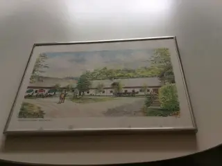 Vildmose museet brønderslev