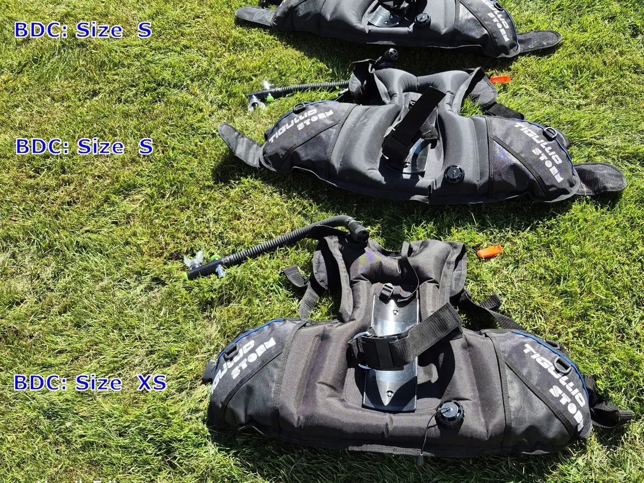 Billede 2 - BCD: TIGULLIO model STORM:  Stk. 2 stk. Small & 1 