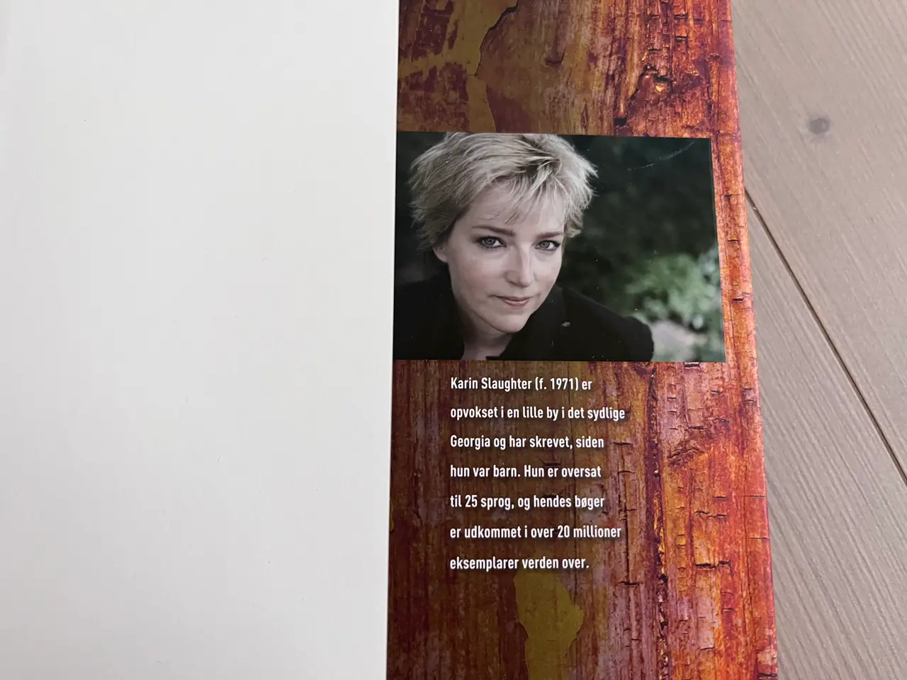 Billede 3 - Dybt Fald, Karin Slaughter, Krimibog