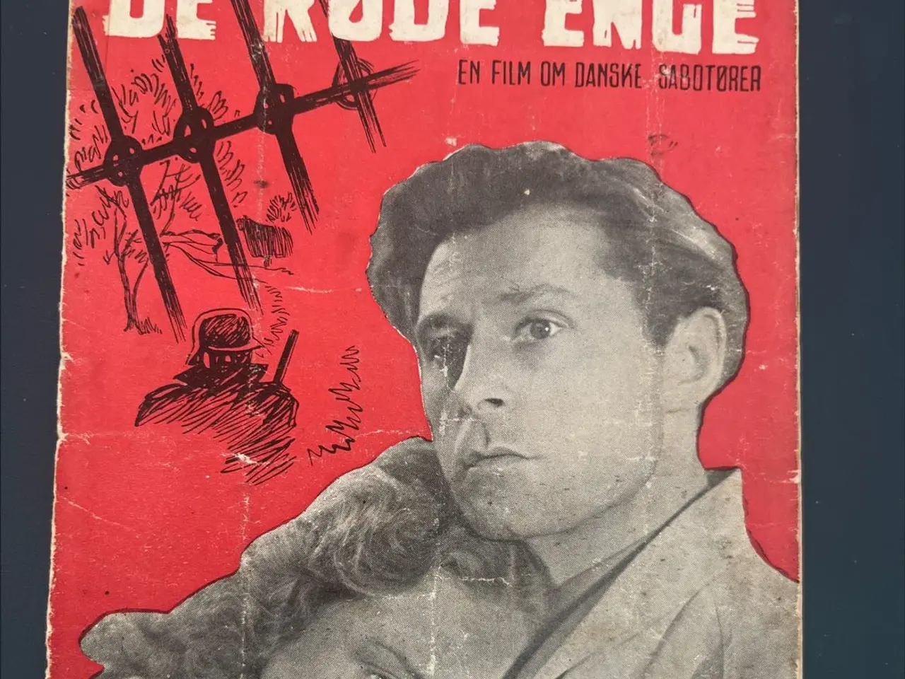 Billede 1 - De røde enge