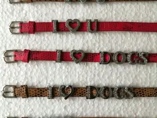 I Love Dogs
