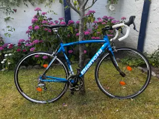 Bianchi Via Nirone racercykel 55 cm