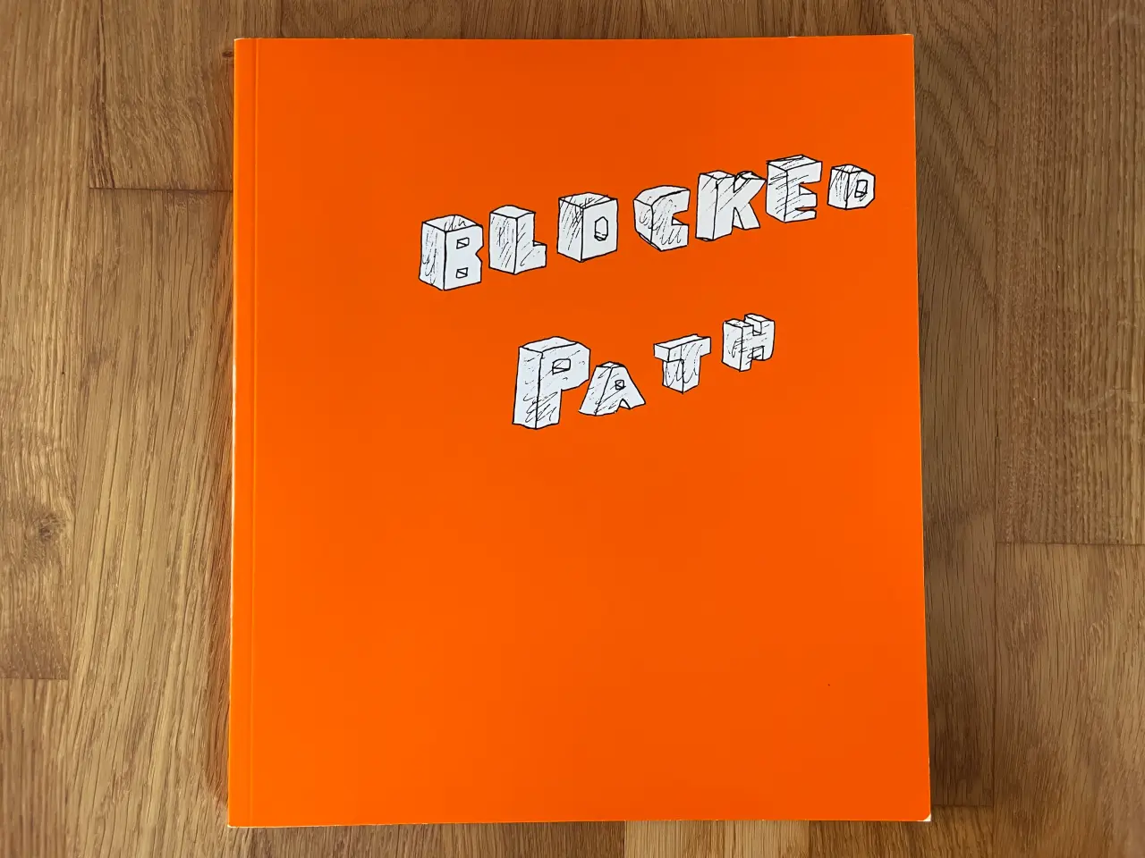 Billede 1 - Blocked Path af David Shrigley - Bog