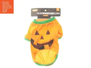 Halloween hundekostume fra Dyreliv (str. 30 cm)