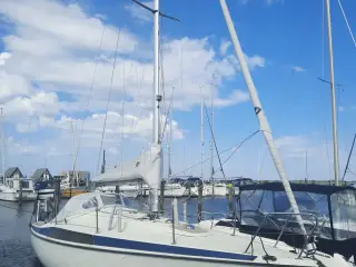 Maxi 84 Ny pris.