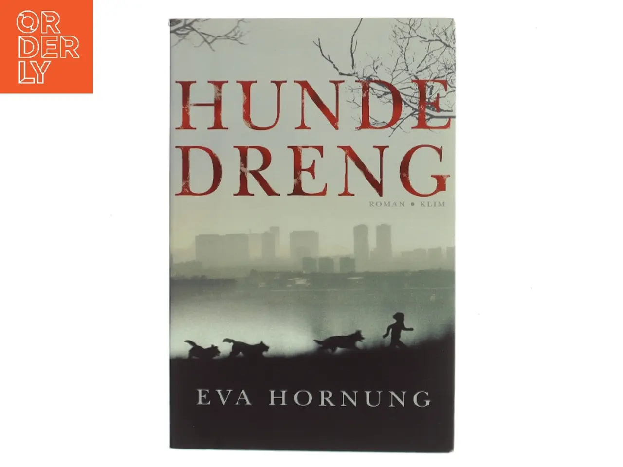 Billede 1 - Hundedreng af Eva Hornung (Bog)