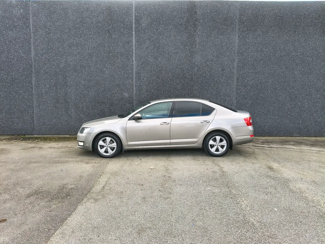 Billede 1 - Skoda Octavia 1,6 TDI Common Rail DPF Ambition 105HK 5d