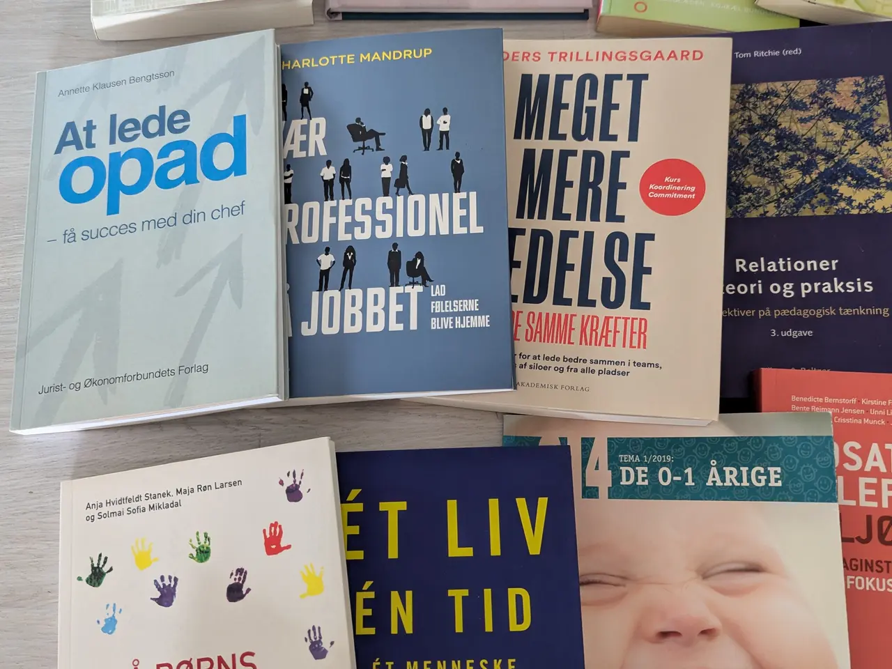 Billede 7 - Fagbøger omhandlede, pædagogik og ledelse