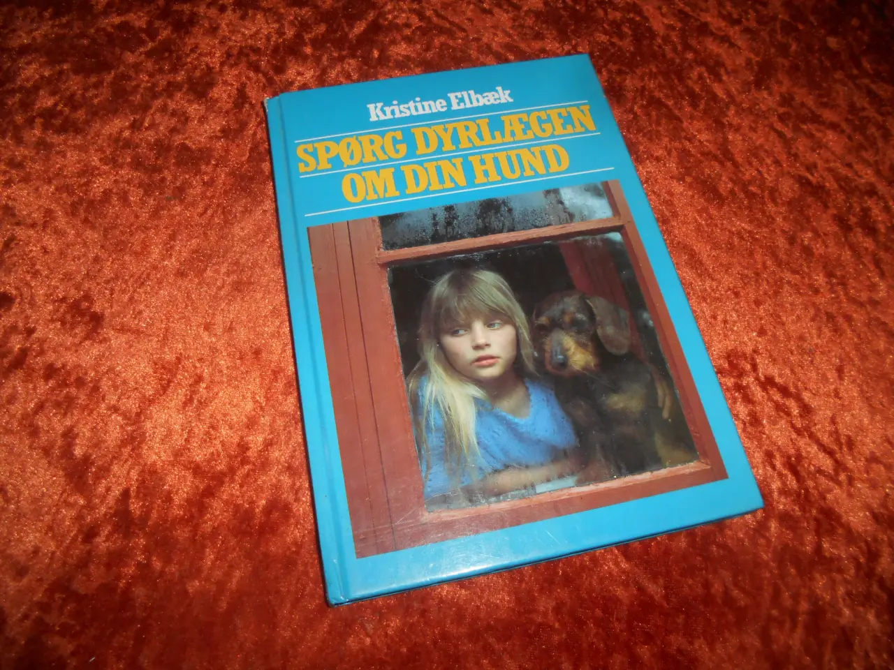 Billede 1 - Spørg dyrlægen om din hund, Kristine Elbæk