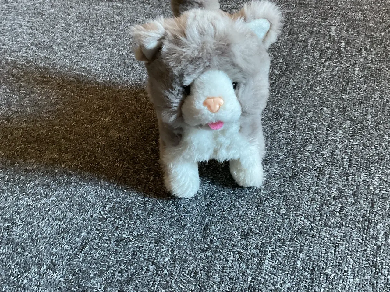 Billede 1 - Gående hund der logrer med halen.