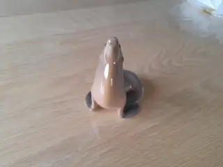 Søløve.