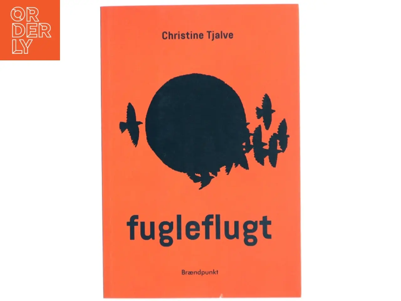 Billede 1 - Fugleflugt : roman af Christine Tjalve (Bog)