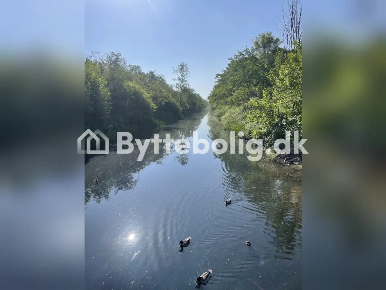 Billede 4 - Brønshøj-Husum: Hyggelig 2-værelses lejlighed