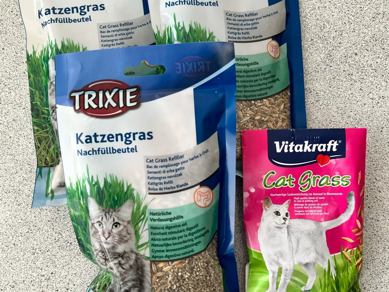 Billede 1 - Frø til kattegræs