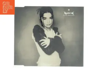 Bjrk
