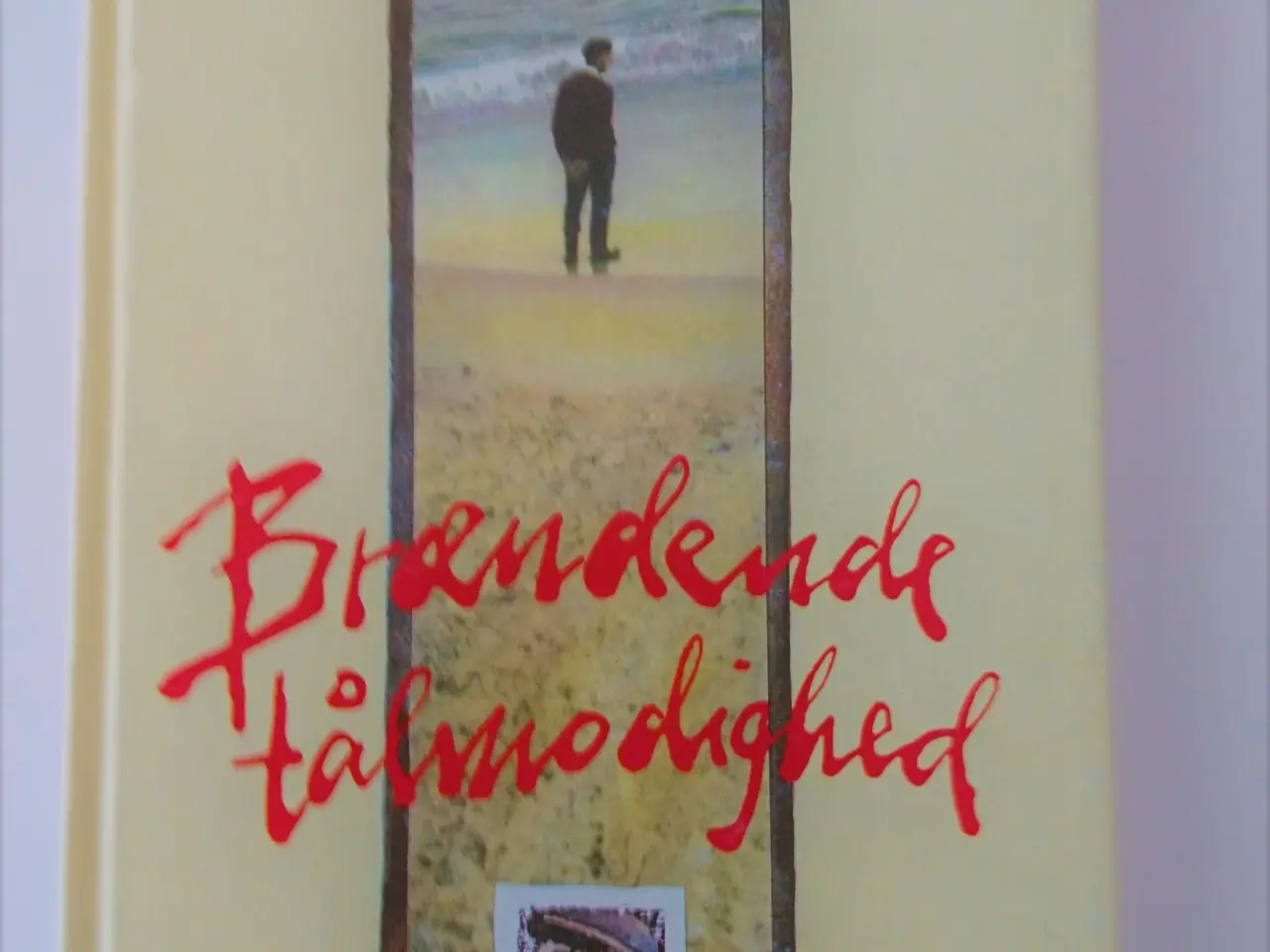 Billede 1 - Brændende tålmodighed. Af Antonio Skármeta