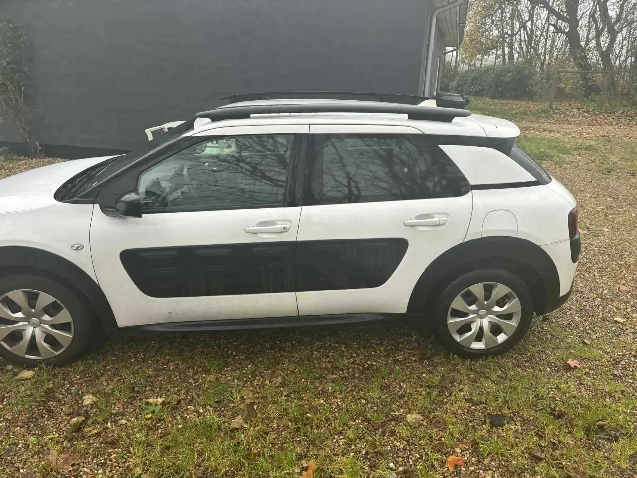 Billede 5 - Citroen c4 cactus