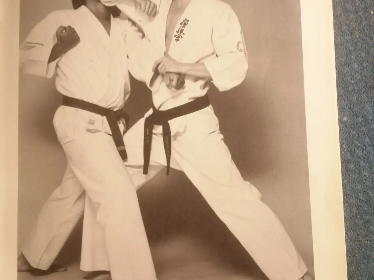 Billede 2 - Kyokushinkai - Vejen til Karate vol 2