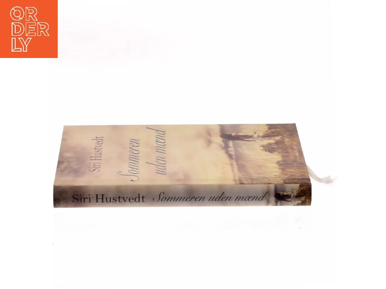 Billede 2 - Sommeren uden mænd : roman af Siri Hustvedt (Bog)