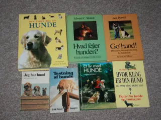 Hvor klog er din hund og hvor klog er du selv?