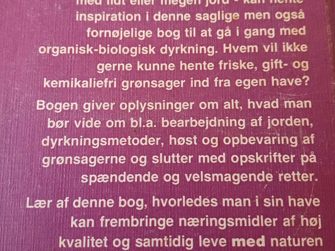 Billede 3 - Giftfri grønsager i have og køkken.