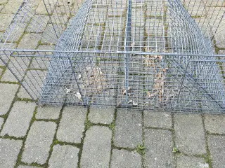Krage/skadefælde