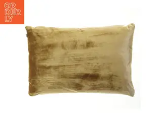 Jotex - pude (str. 58x39 cm)