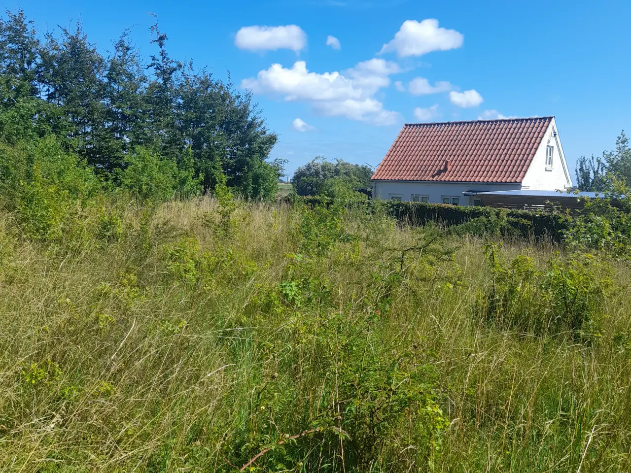 Billede 7 - Bygge grund