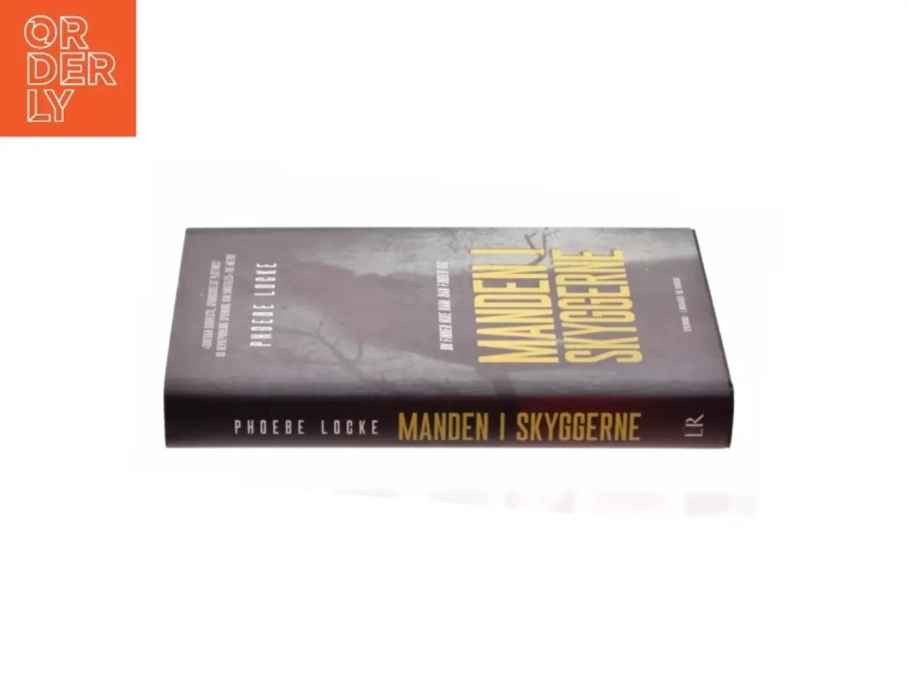 Billede 1 - Manden i skyggerne af Phoebe Locke (Bog)