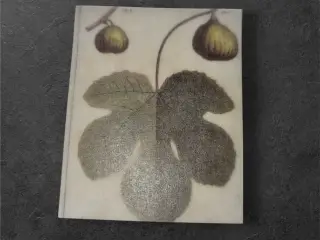Botanisk mini-tryk: Elegant figenillustration