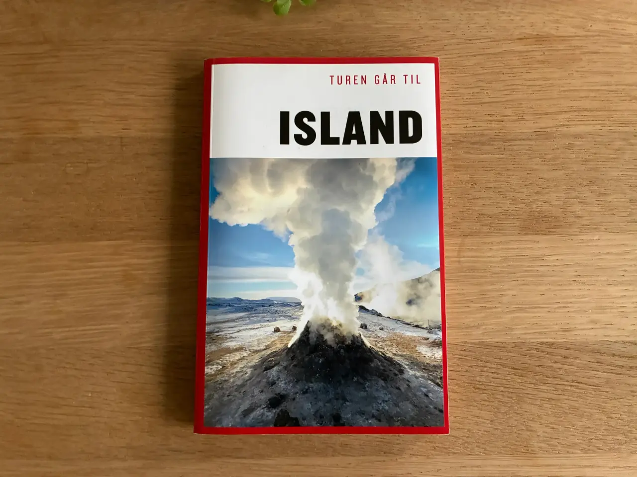 Billede 1 - Turen går til ISLAND