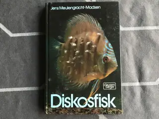Diskosfisk