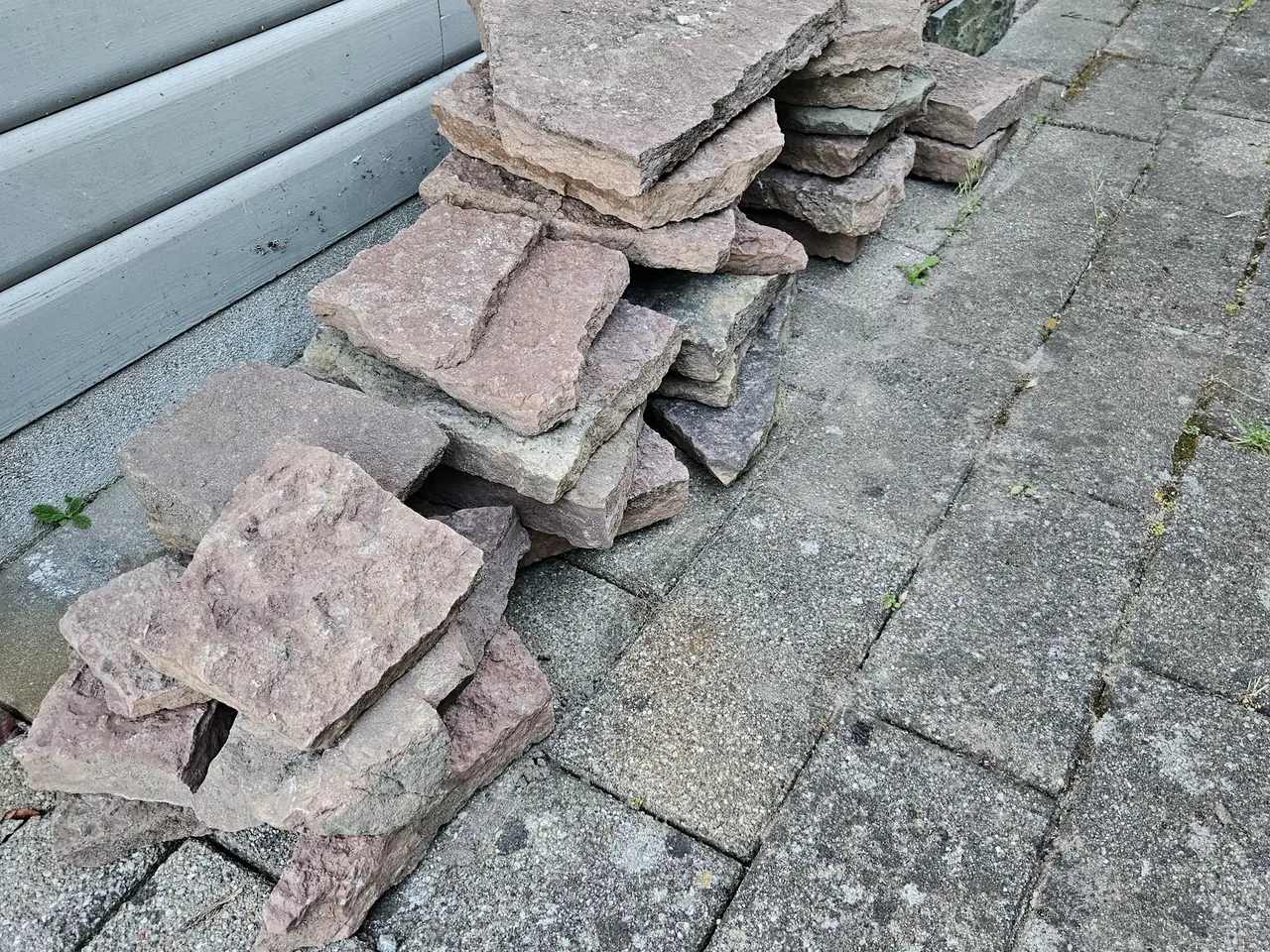 Billede 2 - Rød ølandsbrud sælges