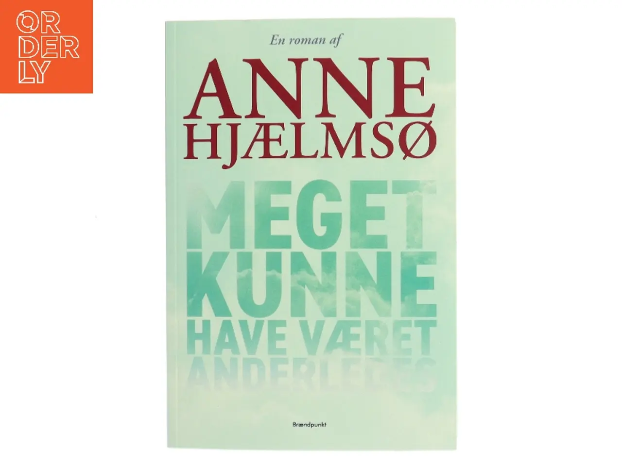 Billede 1 - Meget kunne have været anderledes : roman af Anne Hjælmsø (Bog)