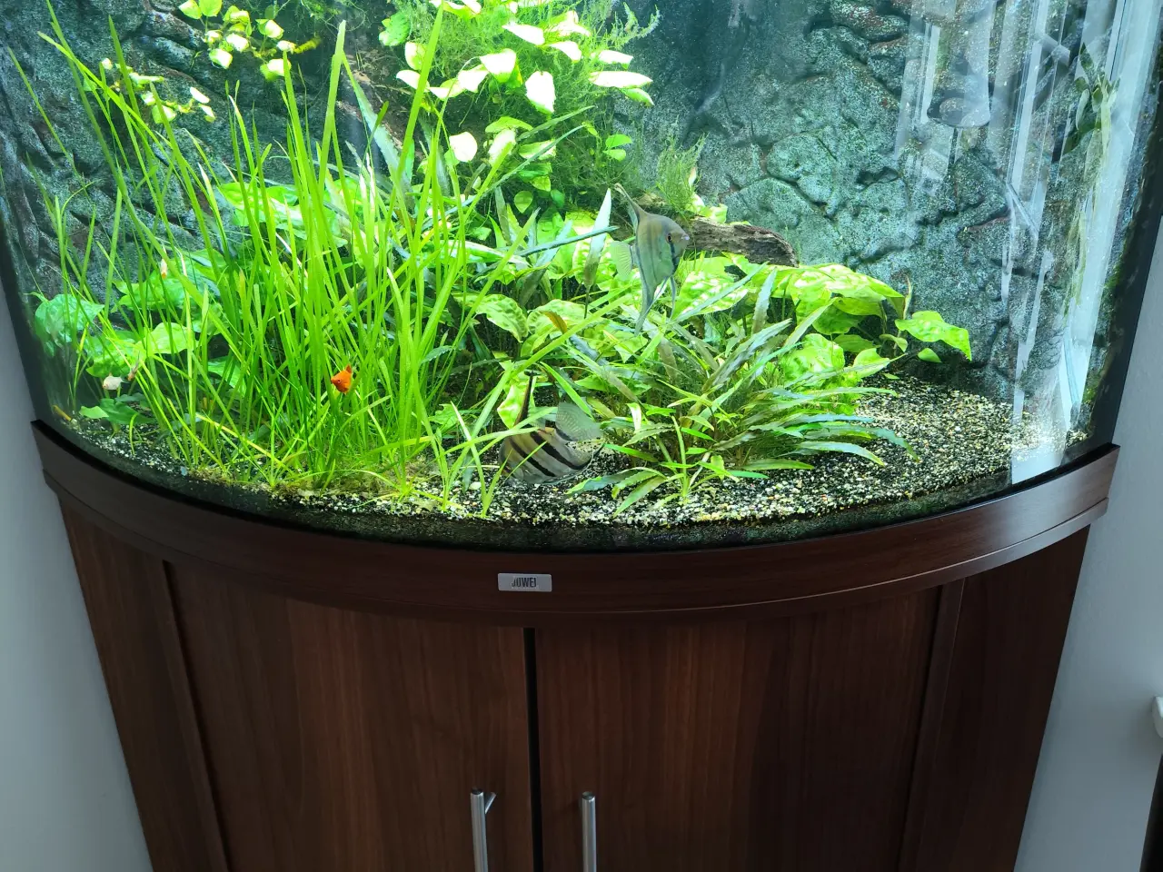 Billede 2 - Juwel LED akvarielampe
