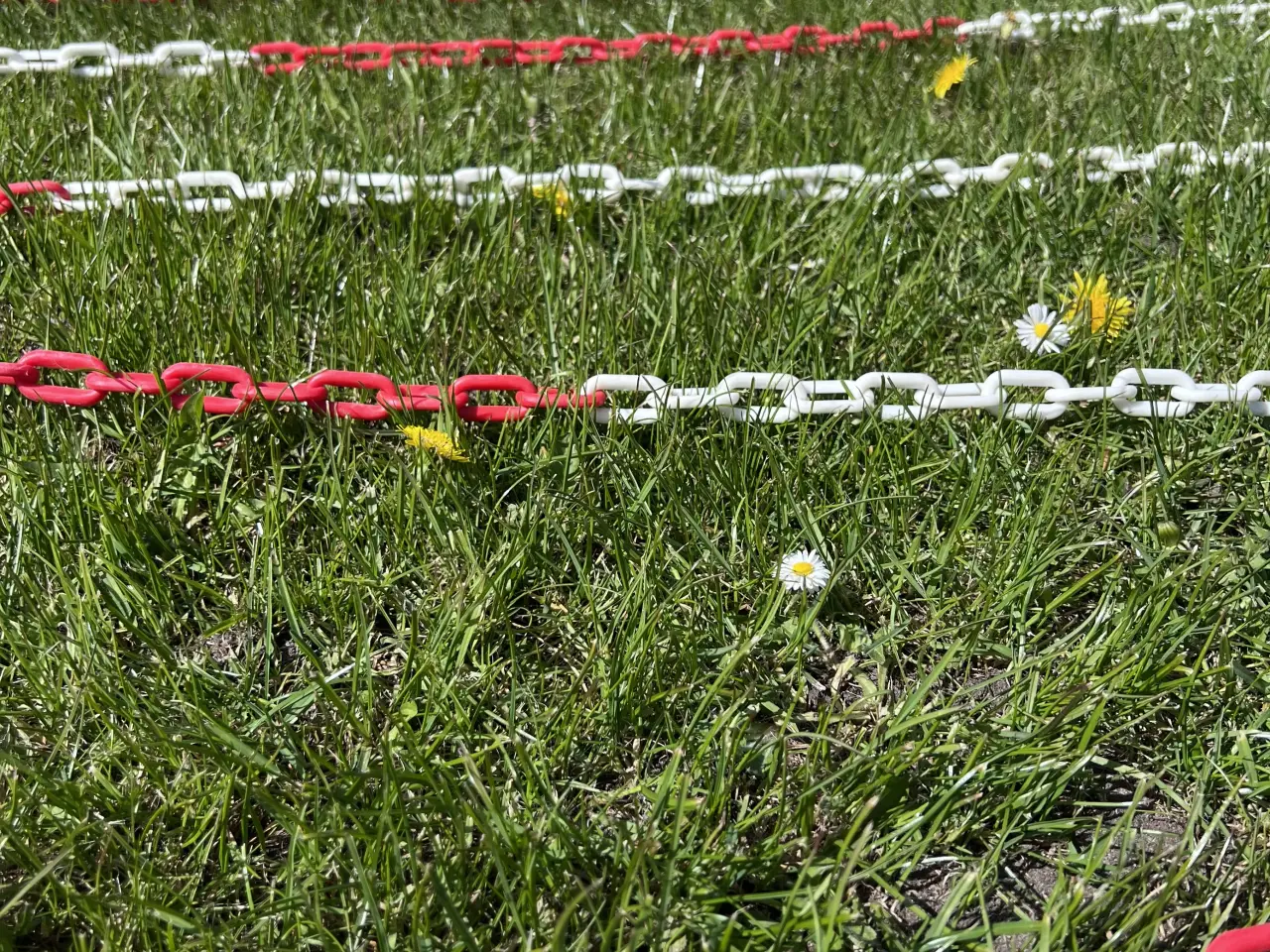 Billede 2 - 200 m. Røde og hvide plastkæder / afspærringskæder