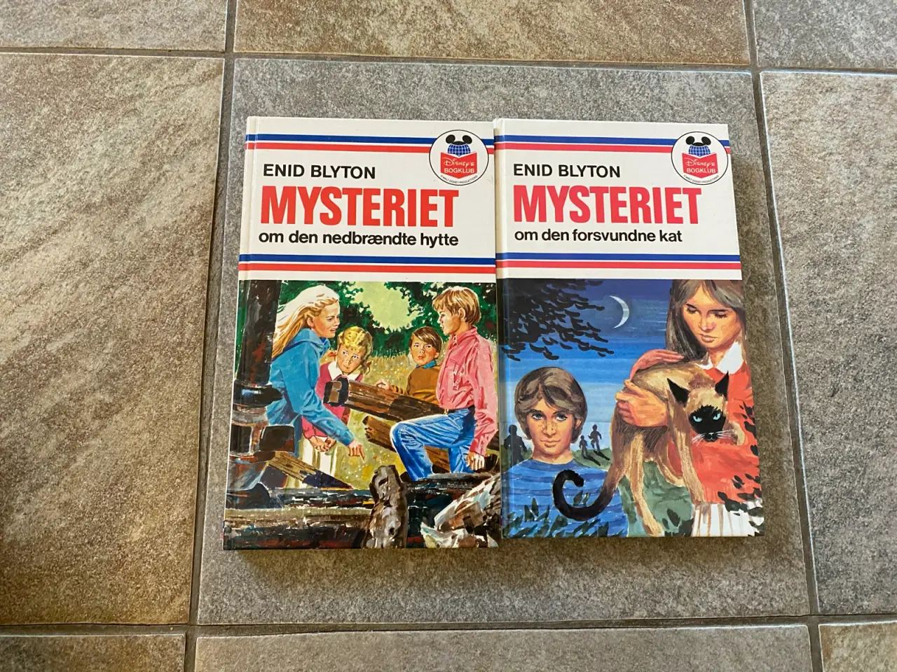 Billede 1 - Mysteriet